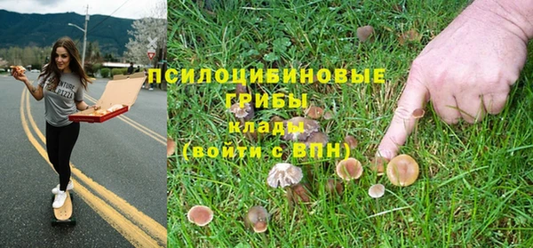 apvp Армянск