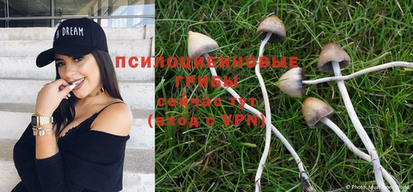 эйфоретик Аркадак