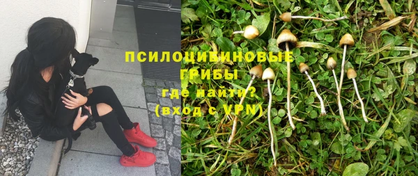 эйфоретик Аркадак