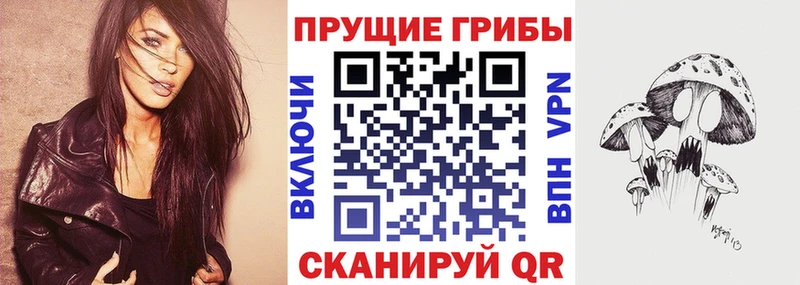 сколько стоит  MEGA tor  Псилоцибиновые грибы GOLDEN TEACHER  Лесосибирск 